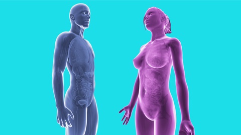Index des maladies